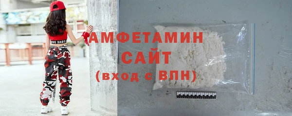 индика Ижевск