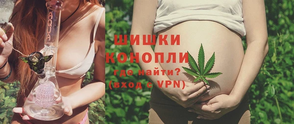 spice Краснослободск
