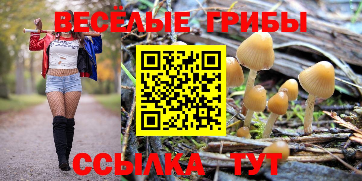 Псилоцибиновые грибы Psilocybine cubensis  Псилоцибиновые грибы мухоморы  Новокузнецк 