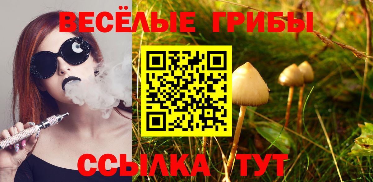 Псилоцибиновые грибы ЛСД  Вход с VPN  Новокузнецк 