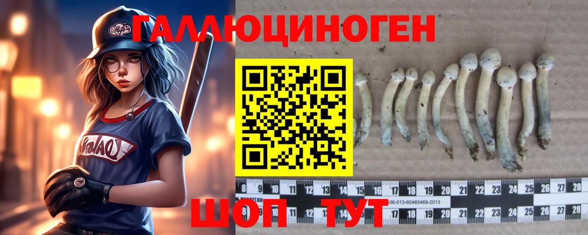 Псилоцибиновые грибы ЛСД Новокузнецк