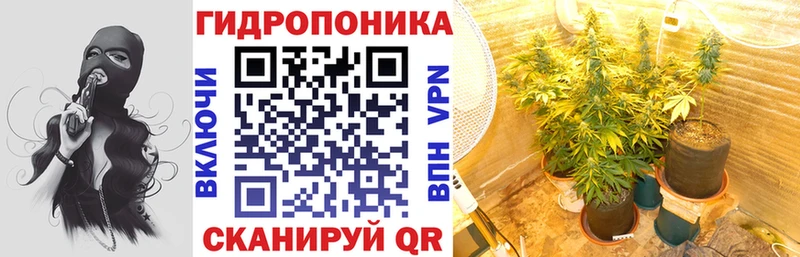 площадка как зайти Новокузнецк Канабис SATIVA & INDICA наркошоп