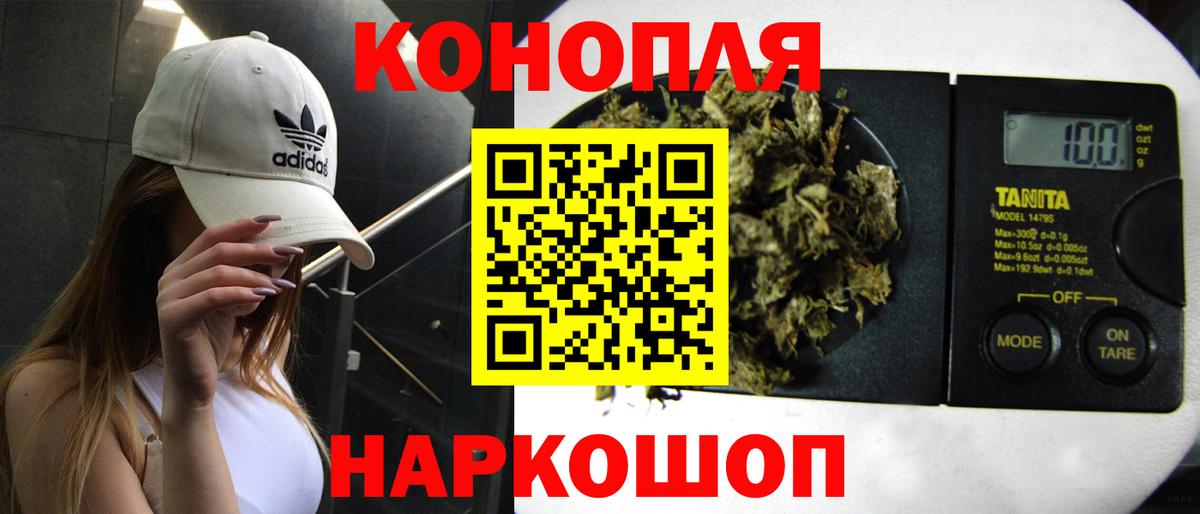 Каннабис планчик Новокузнецк