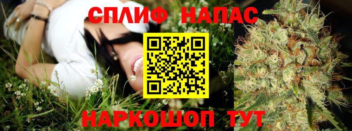 Шишки марихуана планчик Новокузнецк